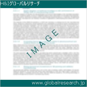 グローバルリサーチ調査レポートのイメージ